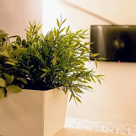Royal Vittorio Apartment *