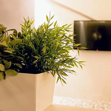 Yhome | Royal Vittorio アパート *