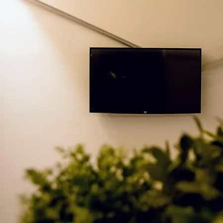Yhome | Royal Vittorio Torino